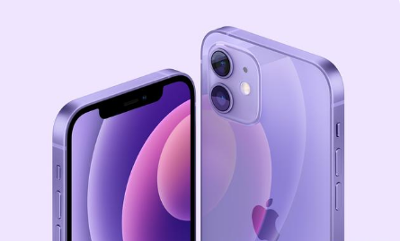 南丰镇苹果手机维修分享紫色版iPhone 12有什么技术亮点 
