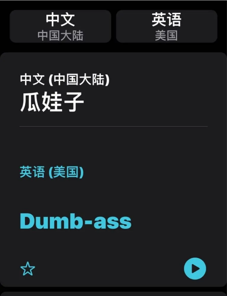 南丰镇苹果手机维修分享iOS14的“翻译太懂了”怎么用 