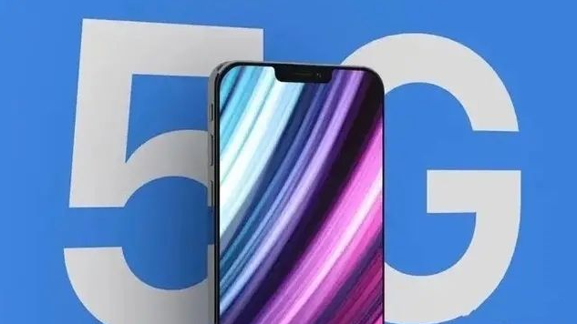 南丰镇苹果手机维修分享iPhone12 pro怎么显示5G 